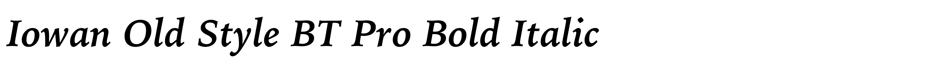 Iowan Old Style BT Pro Bold Italic